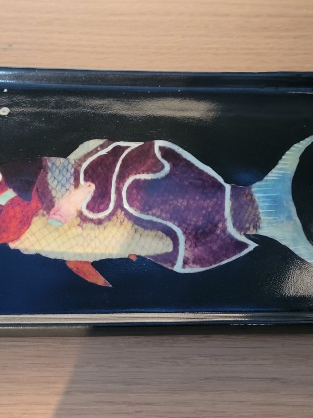 Fabienne Jouvin Paris Tray "Rainbow Fish" By Tozai Home Black Porcelain Ceramic